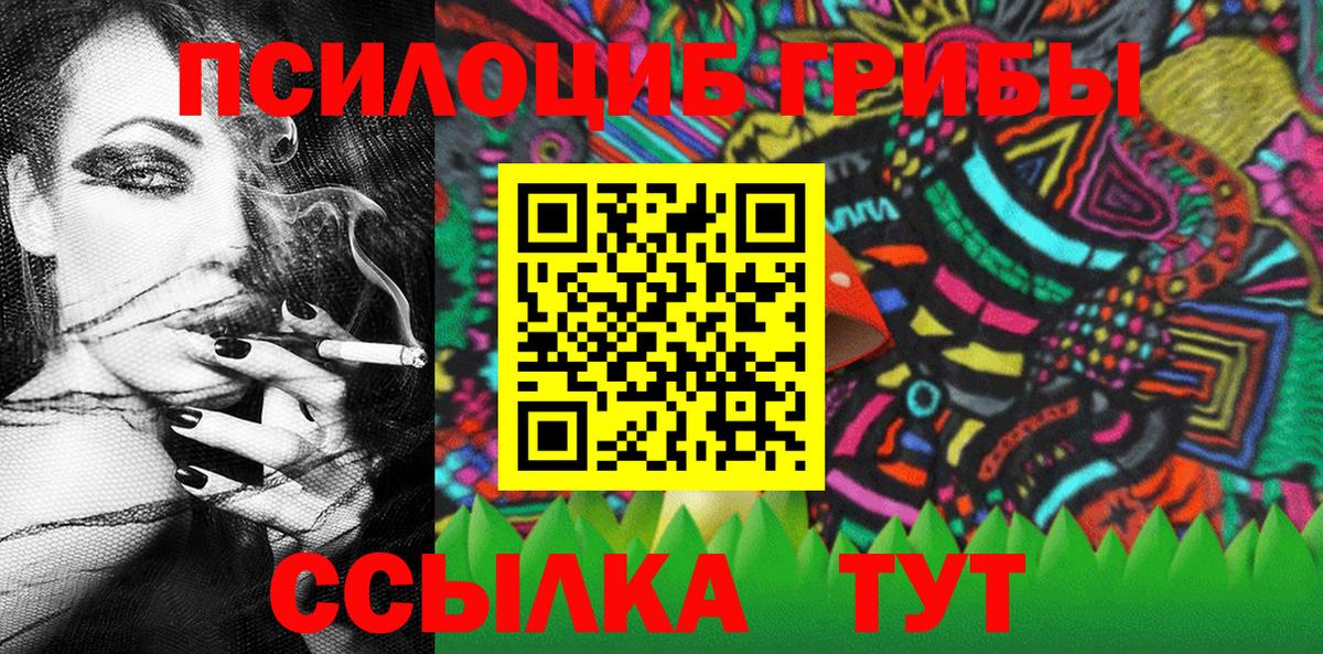 Псилоцибиновые грибы MAGIC MUSHROOMS  Вход с VPN  Псилоцибиновые грибы Cubensis  Киселёвск 